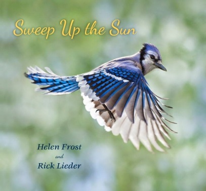 Sweep up the Sun  Monday July 20th, 2015 There's a Book for That